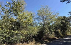 Midget Road, Dennard, AR 72629