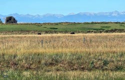 Durston Road, Bozeman, MT 59718