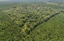 9808 Forestry Rd, Sheridan, AR 72150