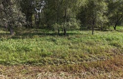 Hogback Bridge Road, Winterset, IA 50273