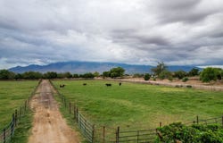 Alma Ln E Pasture), Pima, AZ 85543
