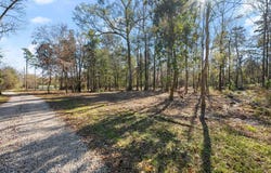 12234 Whitetail Ln, Walker, LA 70785
