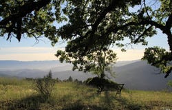Mendocino Pass Road, Covelo, CA 95428