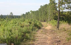 Balerma Church Road, Sparta, GA 31087