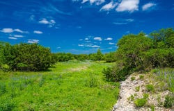 Jung Rd, Harper, TX 78631