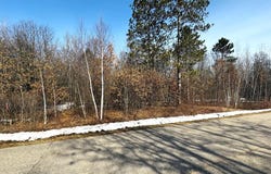1616 PINE VIEW LN, Tomahawk, WI 54487