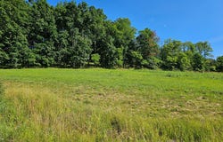 Cherry Ridge Drive, Mansfield, PA 16933