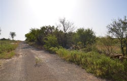 CR 326, Baird, TX 79504