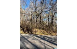 208 OAK FOREST DRIVE lot: 1, BIRMINGHAM, AL 35217