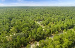 NE 156TH CT, WILLISTON, FL 32696