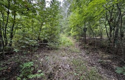 Gabe Rd, Saluda, SC 29138