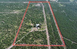 Honey Mesquite, Freer, TX 78357