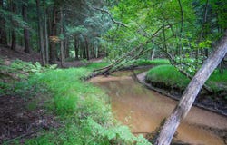 V/L S 142nd Avenue, Rothbury, MI 49452