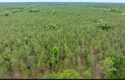 180TH STREET, Live Oak, FL 32060