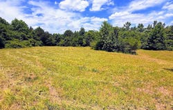 Nix Rd, Bremen, GA 30110