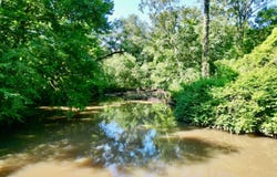 COUNTY ROAD 3338, Brundidge, AL 36010