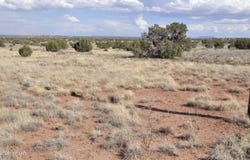 10 N9228, Concho, AZ 85924