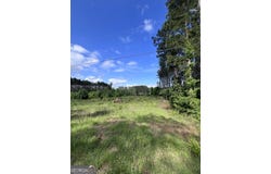 Hunters Run, Dublin, GA 31021