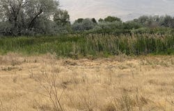 Patricia Rd., Prosser, WA 99350
