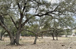 104 C Chisholm, Blanco, TX 78606