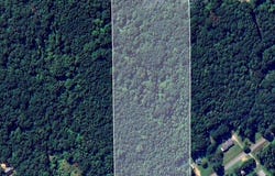 53 ACRES Beason Cove Road, Steele, AL 35987