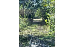 CR 2374, Detroit, TX 75436
