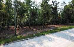 NE 497TH Street, OLD TOWN, FL 32680