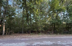 1515 Big Oaks Rd, Avinger, TX 75630