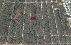 533 PARROT Avenue, SEBRING, FL 33872