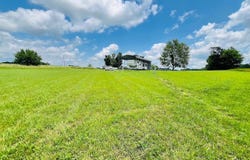 00 Crocus Rd, Glens Fork, KY 42741