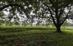 Morrow Road, Fulton, KY 42041