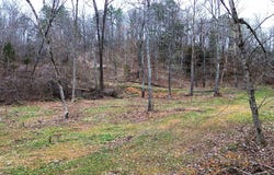 Tomahawk Slab Road, Saint Joe, AR 72675