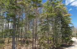 12 Eidelweiss Drive, Madison, NH 03849
