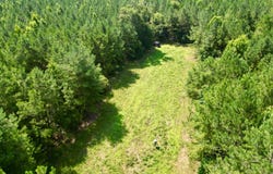CR 127, Banks, AL 36005
