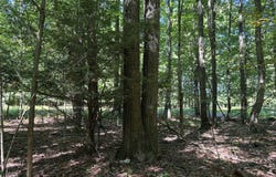 Hawthorne Road, Cherry Tree, PA 15724
