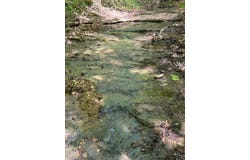 Greenbrier Rd, Breeding, KY 42715