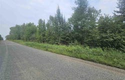99999 Comet Rd, Embarrass, MN 55732