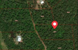 private road 8565, Winnsboro, TX 75494