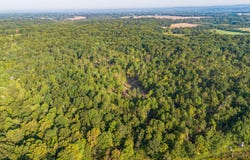 0 Irma White Rd, Marion, KY 42064