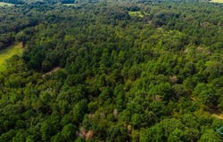 CR 3606, BROWNSBORO, TX 75756