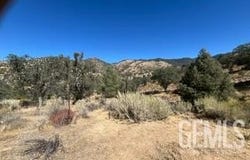 Franceschi Road, Havilah, CA 93518