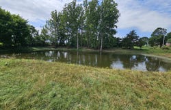 14 Acres State Highway F, Anderson, MO 64831