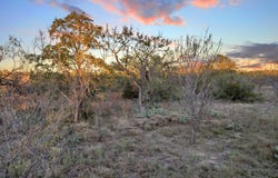 LT 109 Quail Trail, Marble Falls, TX 78654