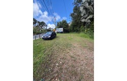 Cedro Abajo, Naranjito, PR 00719