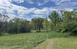 County Road 350, Drury, MO 65638