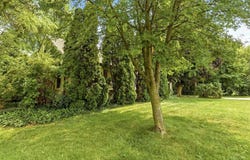 3978 N Michigan Avenue, Saginaw, MI 48604