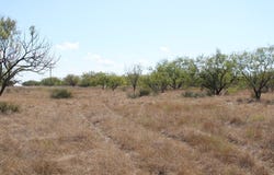 County Rd 130 Highway, Ballinger, TX 76821