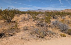 80th Street W, Rosamond, CA 93501
