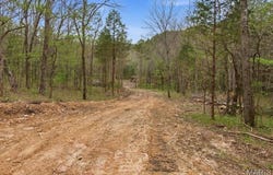 Tract 5 W Highway 32, Licking, MO 65542