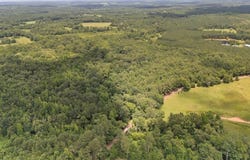 38.110 ac CR 3206, Mount Enterprise, TX 75681